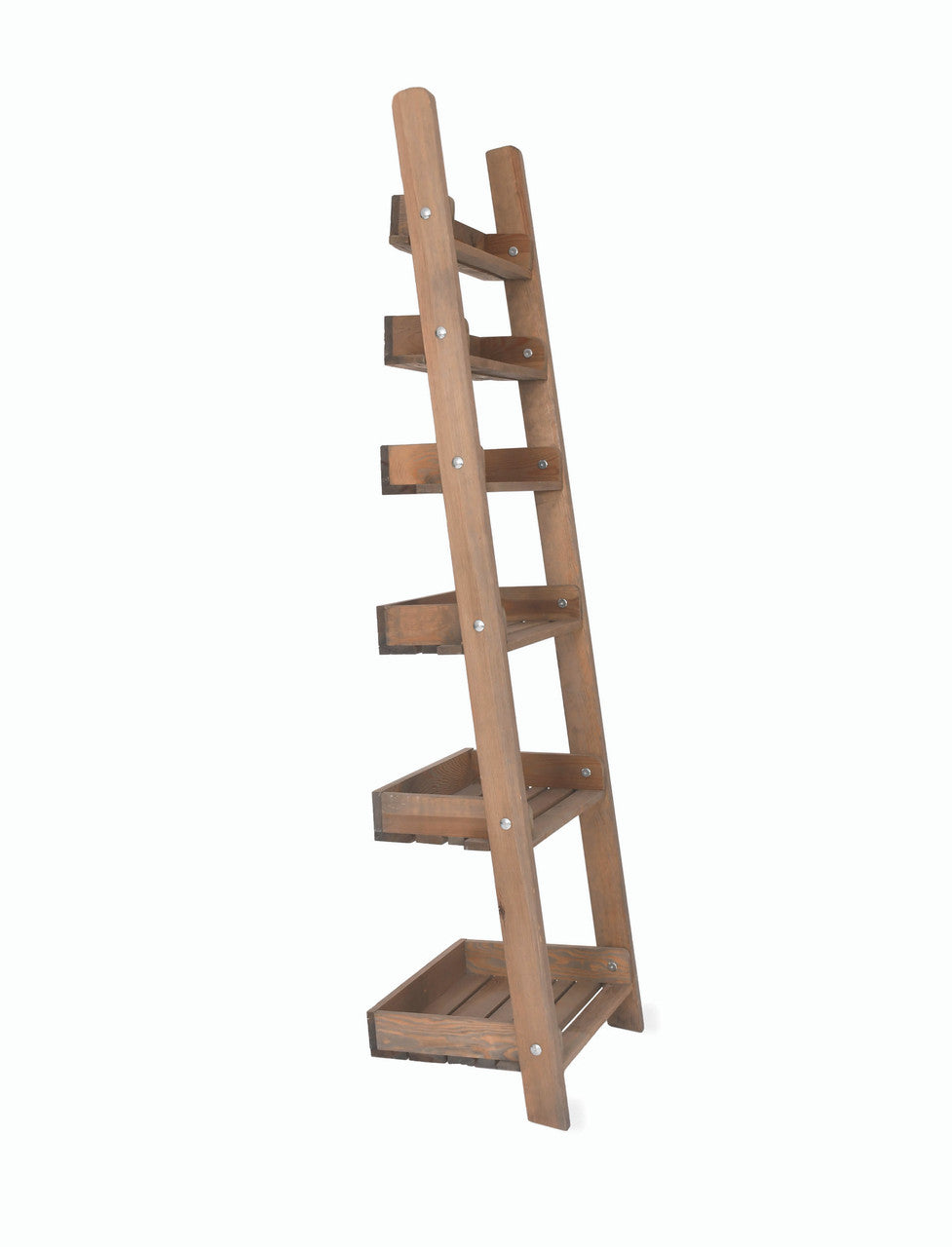 Aldsworth Shelf Ladder - Spruce, Natural, Small