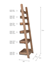 Aldsworth Shelf Ladder - Spruce, Natural, Small