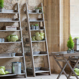 Aldsworth Shelf Ladder - Spruce, Natural, Small